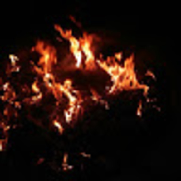 Meet your Posher, Lia - Picture 1 of 1